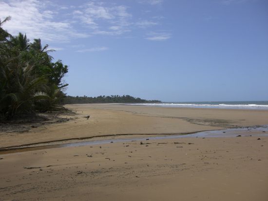 Mission Beach 1