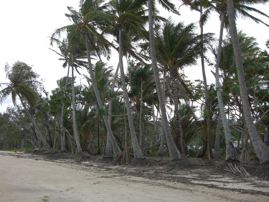Mission Beach 2