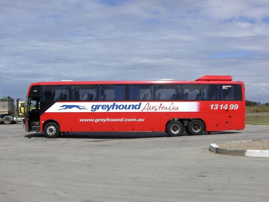 Mit diesen Bussen reise ich hier in Australien.