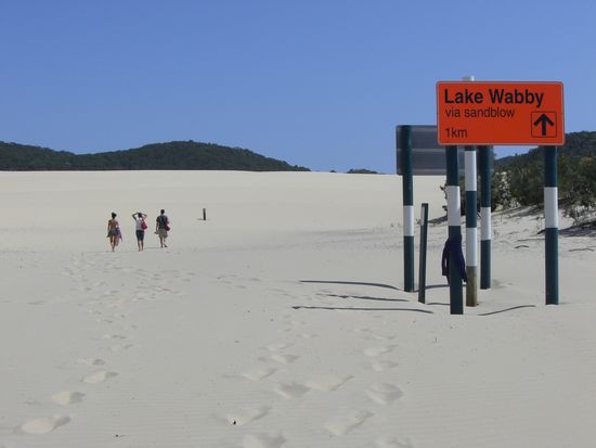 Nur noch einen km bis zum Lake Wabby.. Wir dachten schon, dass wir auf dem Weg sterben muessen. Es war sooooo heisssssss.....
