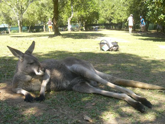 Voll gemuetlich, hmm?