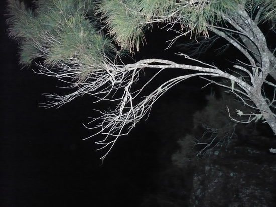 Und hier ist es echt dunkel!