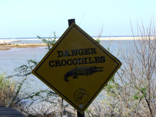 Danger - Crocs