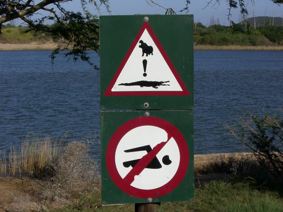 Nein, wir gehen hier sicher nicht ins Wasser...