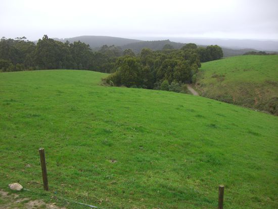 Die Umgebung war richtig gruen hier.