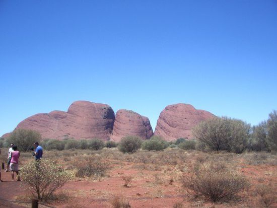 Olgas.