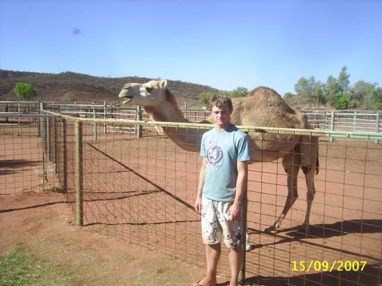 Tim vor dem Camel. Im Outback Australiens gibt es viele wilde Kamele aus der Eisenbahnbauzeit!