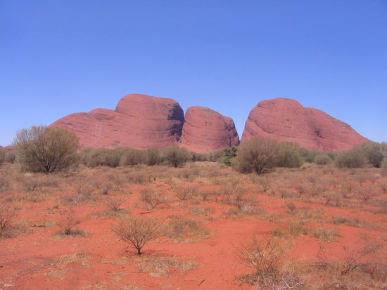 Olgas. Das erinnert doch irgendwie an Homers Kopf, nicht?