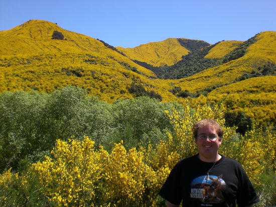 Ich vor den schoenen gelben Bueschen.