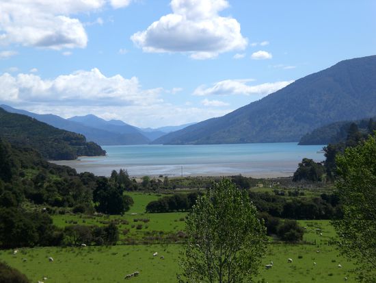 In der Naehe von Picton.