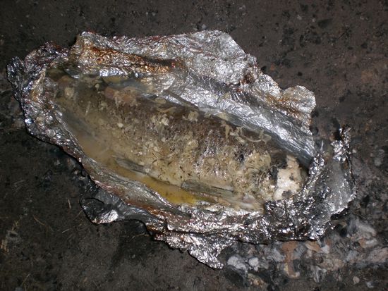 Die Forelle am Lagerfeuer gekocht. War das ein Festschmaus!