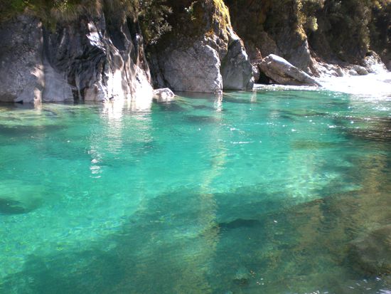 Fluss mit grosser Forelle (unteres Drittel)