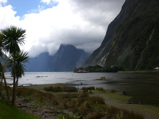 Milford Sound bei gutem Wetter!