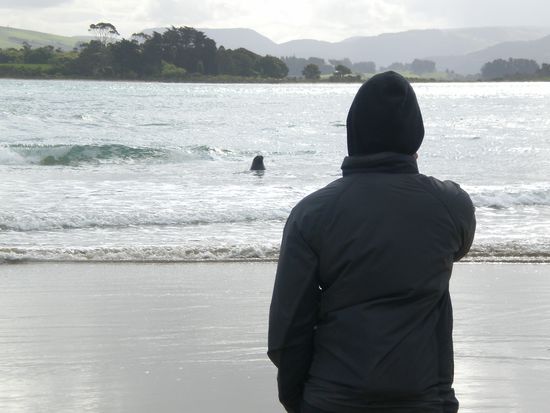 Eva schaut dem Seeloewen zu.