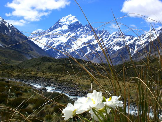 Mount Cook.