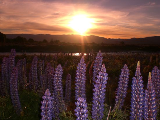 An einem Fluss unterwegs.