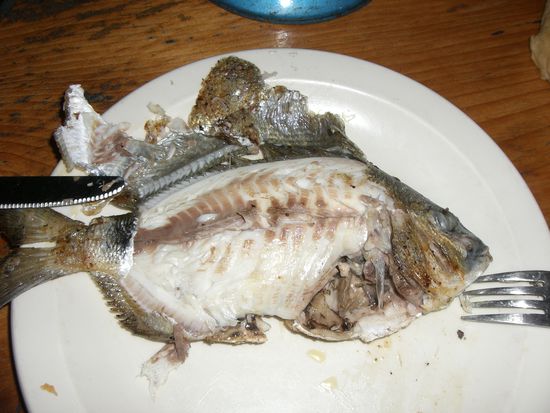 Selbstgefangener Fisch zum Znacht.