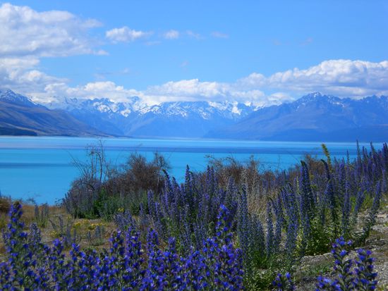 Hammer, nicht? Lake Tekapo!