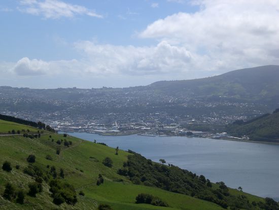 Blick auf Dunedin.