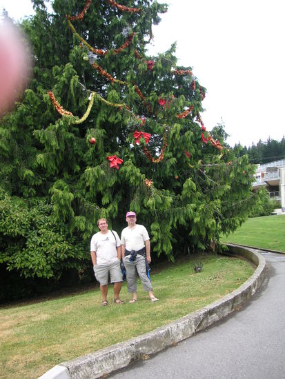 Mal etwas anders... In kurzen Hosen uns Shirts vor einem Christbaum 