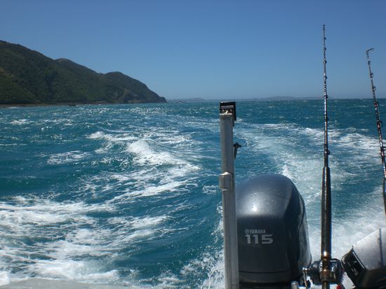 Beim Fischen in Kaikoura.