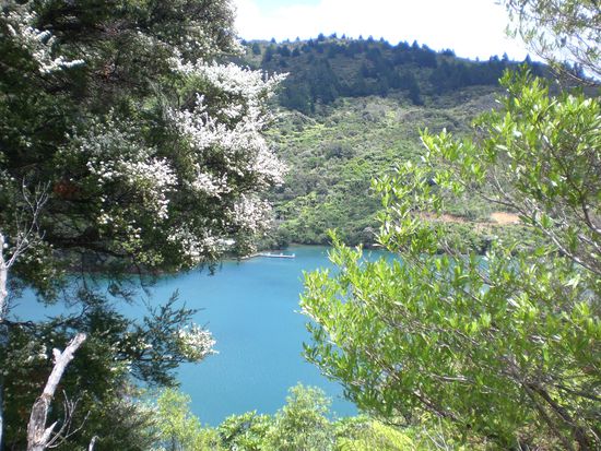 Aussicht beim Wandern an Weihnachten.