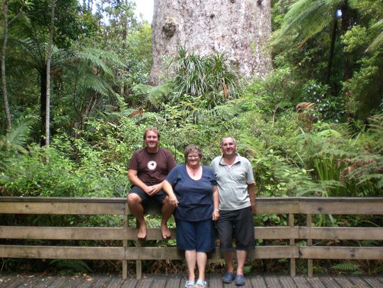 Alle drei vor dem riesen Kauri.
