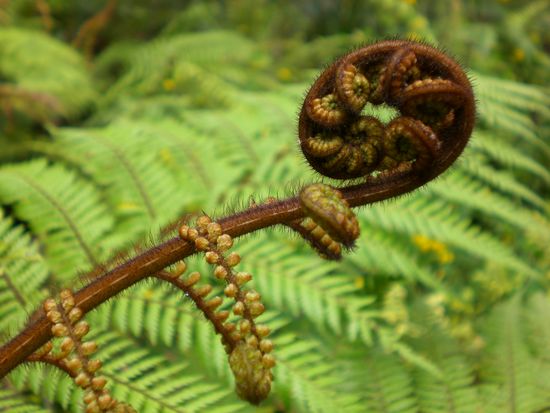 Das gefaellt mir besonders. Muss wohl in Zukunft mehr Makro Fotos machen.