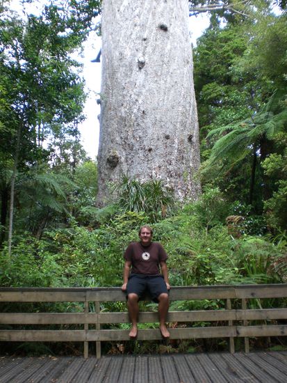 Ich vor meinem Liebligskauri Baum.