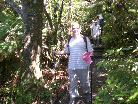 Schon fast am Ziel. Am Schluss gings noch durch den Regenwald bis zum Parkplatz und Ende des Tongariro Crossings.