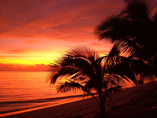 Sooo schöööööön!