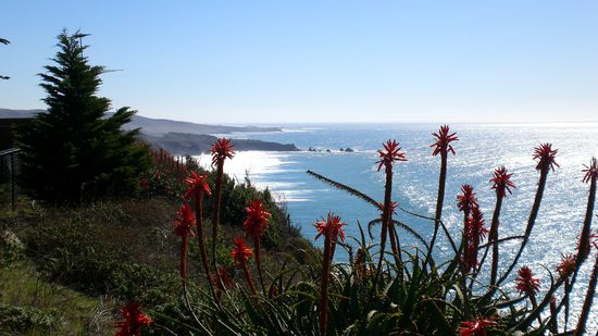 WOW! Hab selten so schoene Kuestenabschnitte auf meiner Reise gesehen!