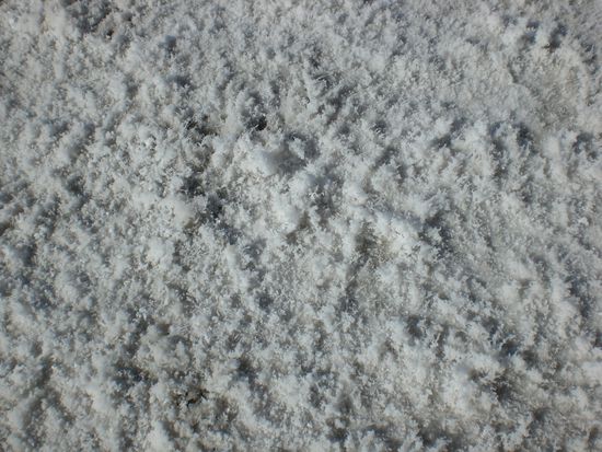 Hier sieht man das Salz sehr gut. Habs natuerlich probiert und es schmeckt tatsaechlich salzig! 