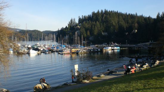 Hafen in Deep Cove.