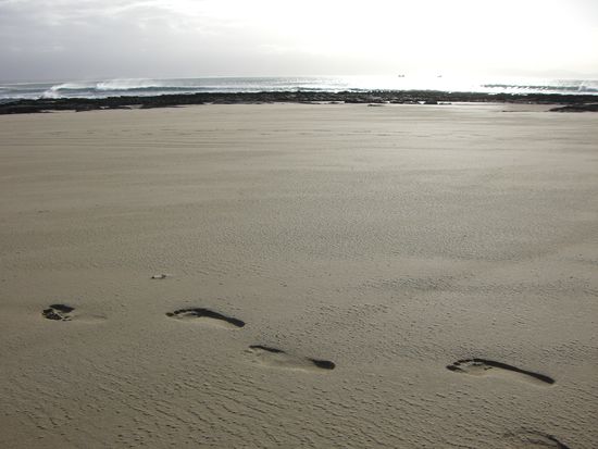 Ricos Fussspuren im Sand.