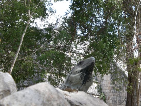 Snake, kannst du bitte ein wohl letztes Mal sagen, was das fuer ein Tier ist? Danke vielmals! 