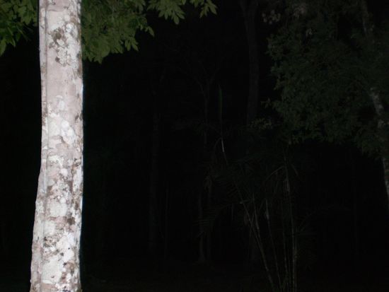 ja, es war so richtig dunkel!!!