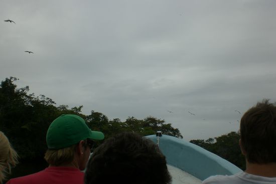 Fahrt mit dem Boot nach Lamanai.