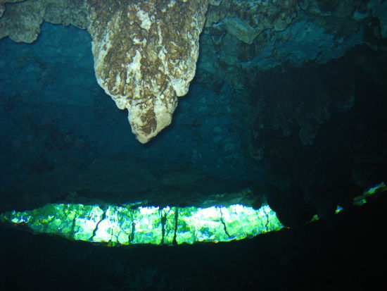 Super Blick aus der Hoehle raus auf die Baeume und das Licht. Einfach genial!!!