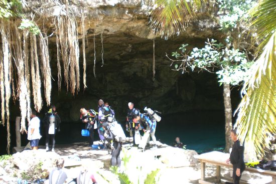 Cenote von oben.