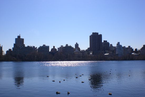 See im Central Park New York.