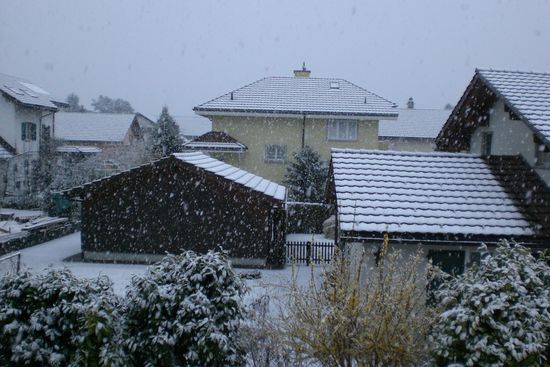 Schnee, Schnee, Schnee....
