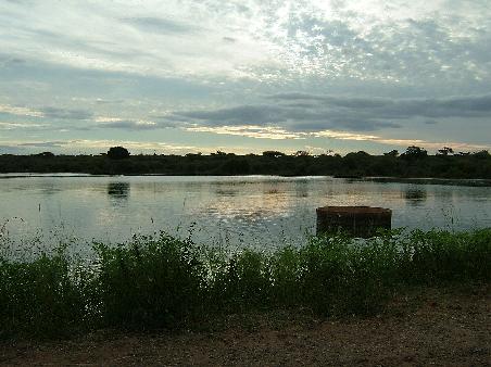 Wasserloch mit vielen Hippos.