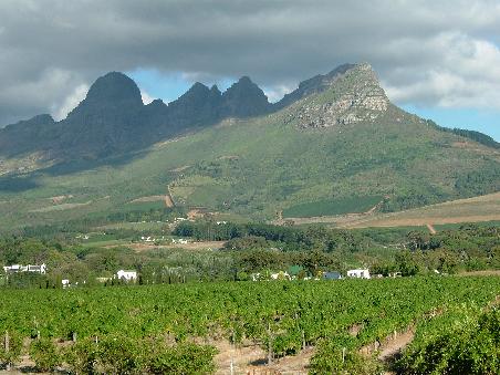 Winelands