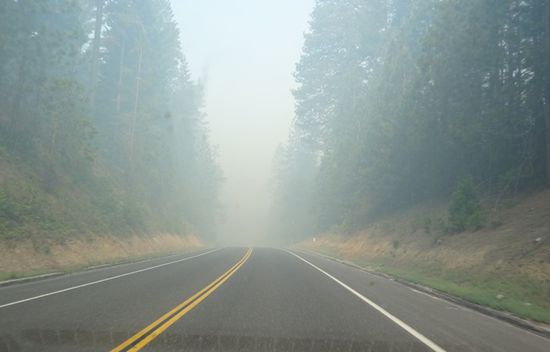 Unser Weg zum South Lake Tahoe führte durch einen verqualmten Yosemite NP. "Management Fire - Please don't report"!