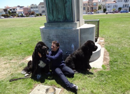 Die beiden Neufundländer-Bärchen haben wir auf dem Weg zur Golden Gate Bridge "gefunden"...soooo süß!