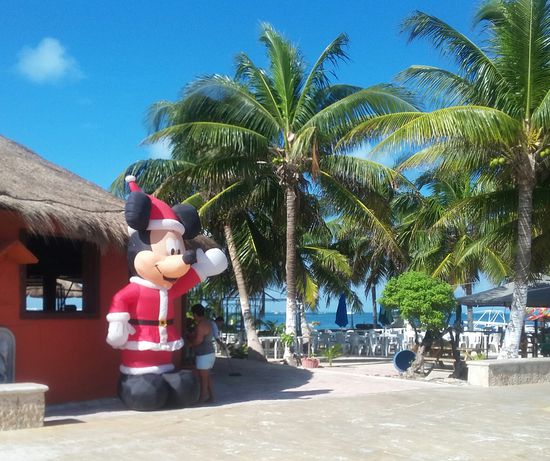 Weihnachten rückt immer näher...auch bei 29°C.