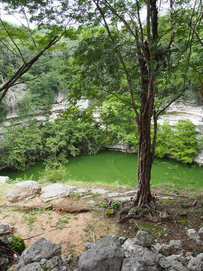 Die Cenote Sagrado erhält ihre grüne Färbung durch mikroskopisch kleine Algen.