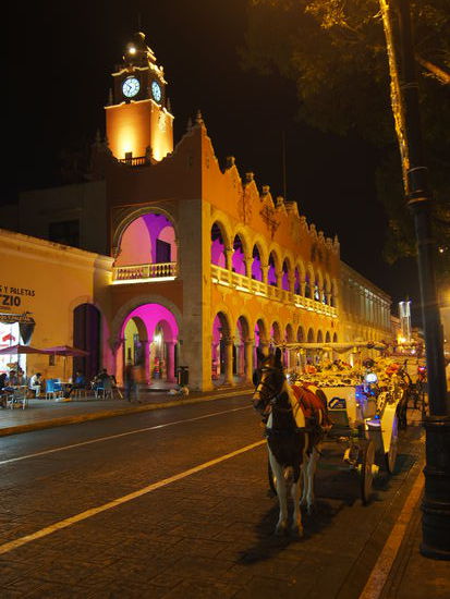Die ganze Stadt ist heute bunt!