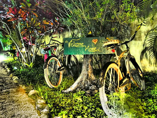 Hier fühlst du dich vom ersten Augenblick an willkommen und zu Hause: das Maya Pax (gesproche: Pasch) in Tulum.